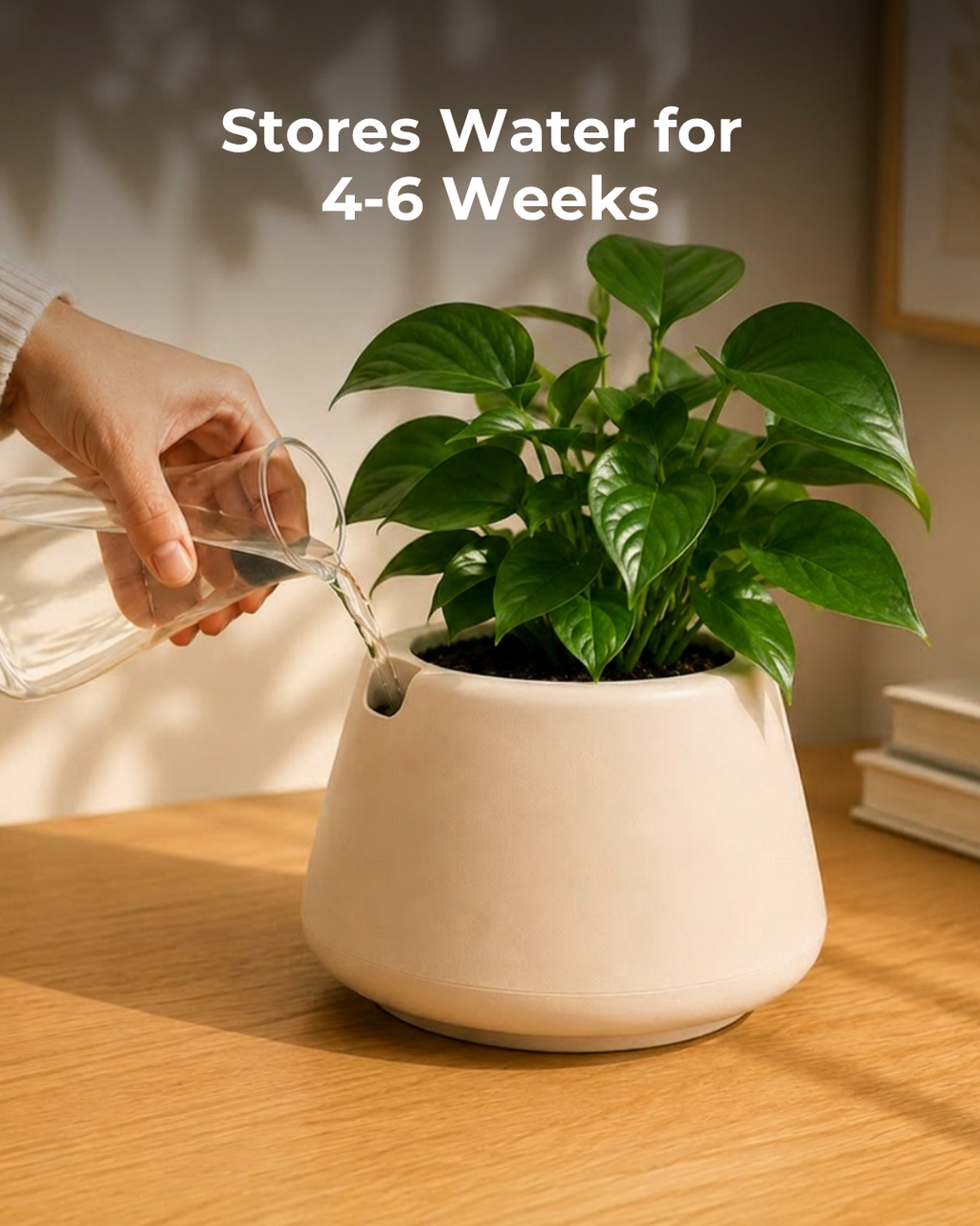 Vira Smart Self-Watering Pot