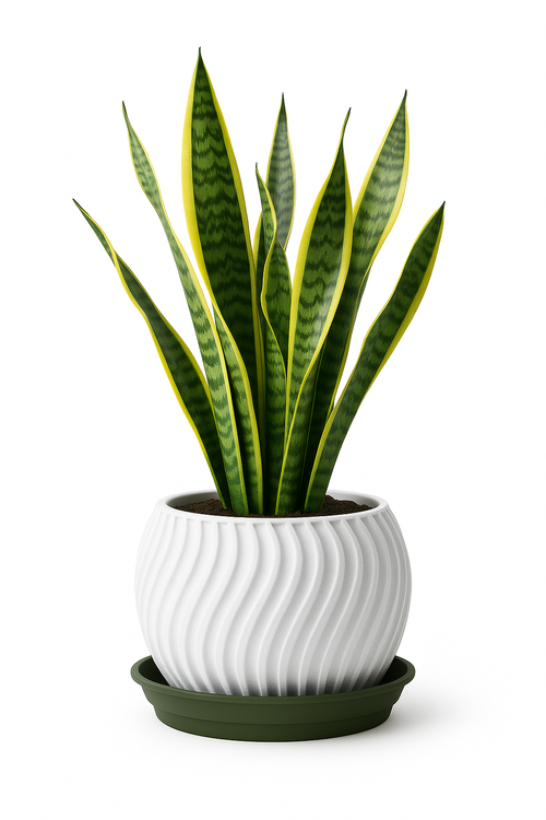 Circ White | Vira Smart Self-Watering Pot