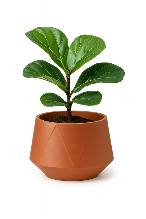 Geo Terracotta | Vira Smart Self-Watering Pot