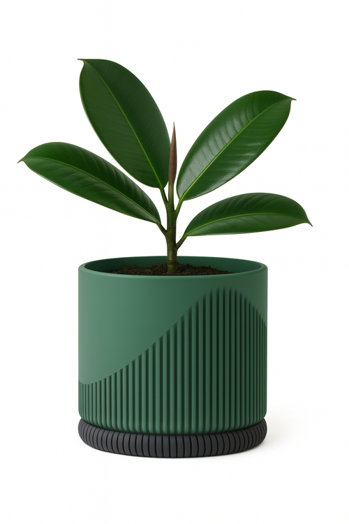 Wave Green | Vira Smart Self-Watering Pot