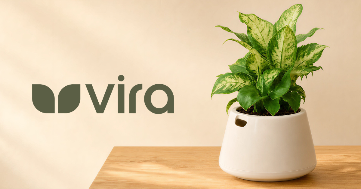 Vira Plants | Self-Watering Smart Pots for Healthy Houseplants – Vira ...