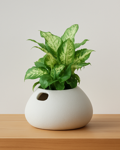 Vira Smart Self-Watering Pot