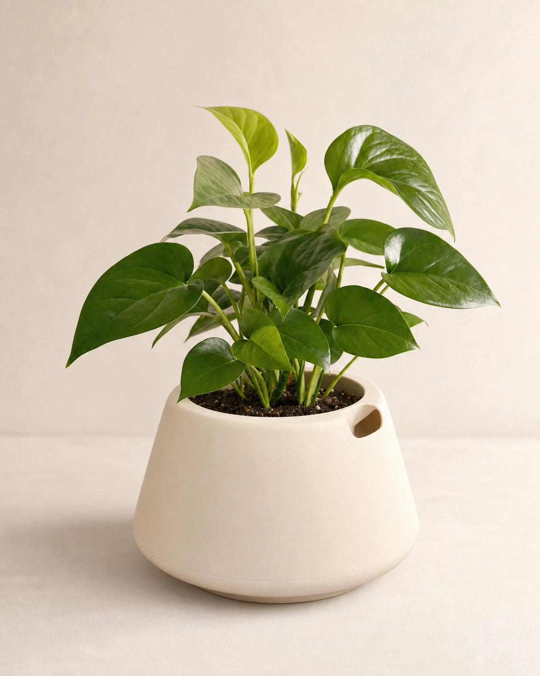 smart self watering pot with internal water reservoir and automated watering functionality
